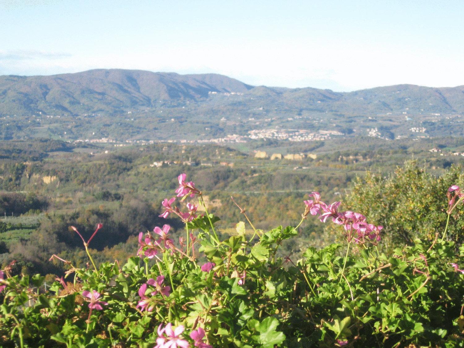 Agriturismo La Capitata Pian di Scò Exterior foto