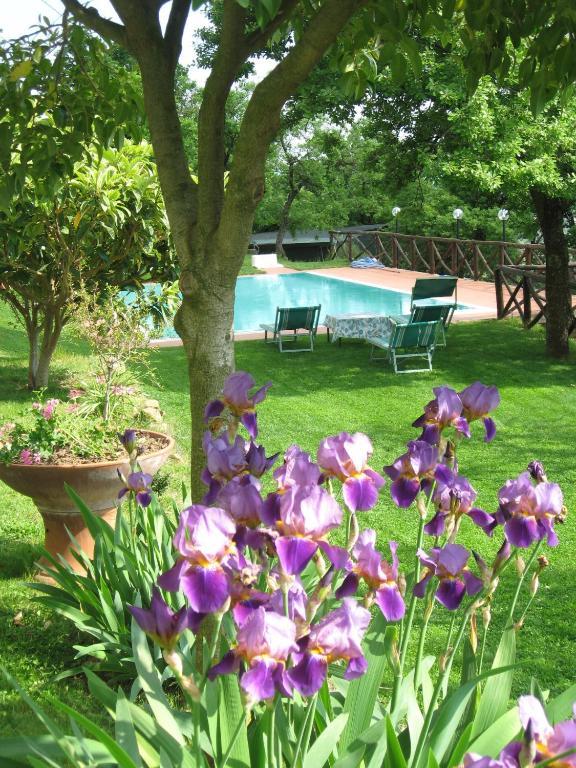 Agriturismo La Capitata Pian di Scò Exterior foto